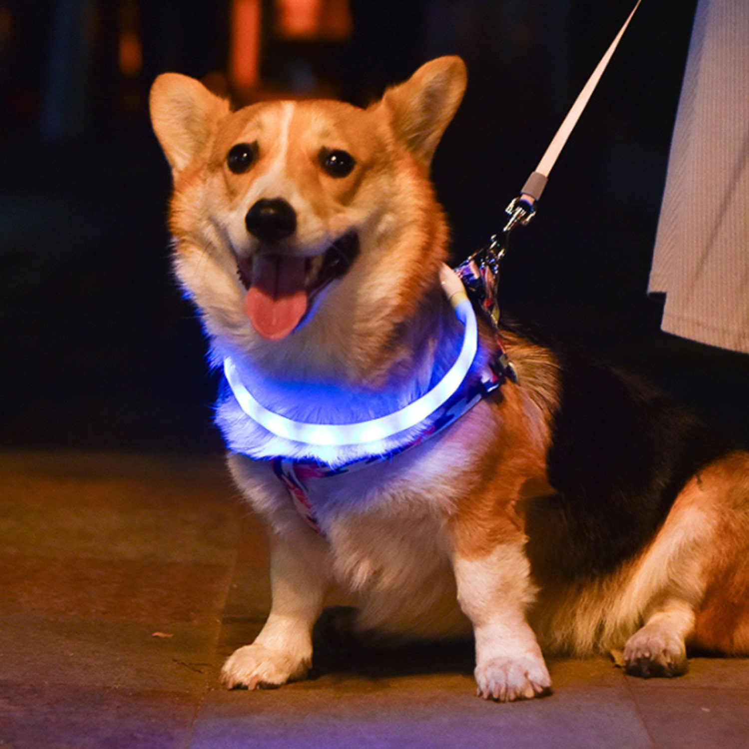 강아지 산책 LED 목걸이 USB충전식 밴드
